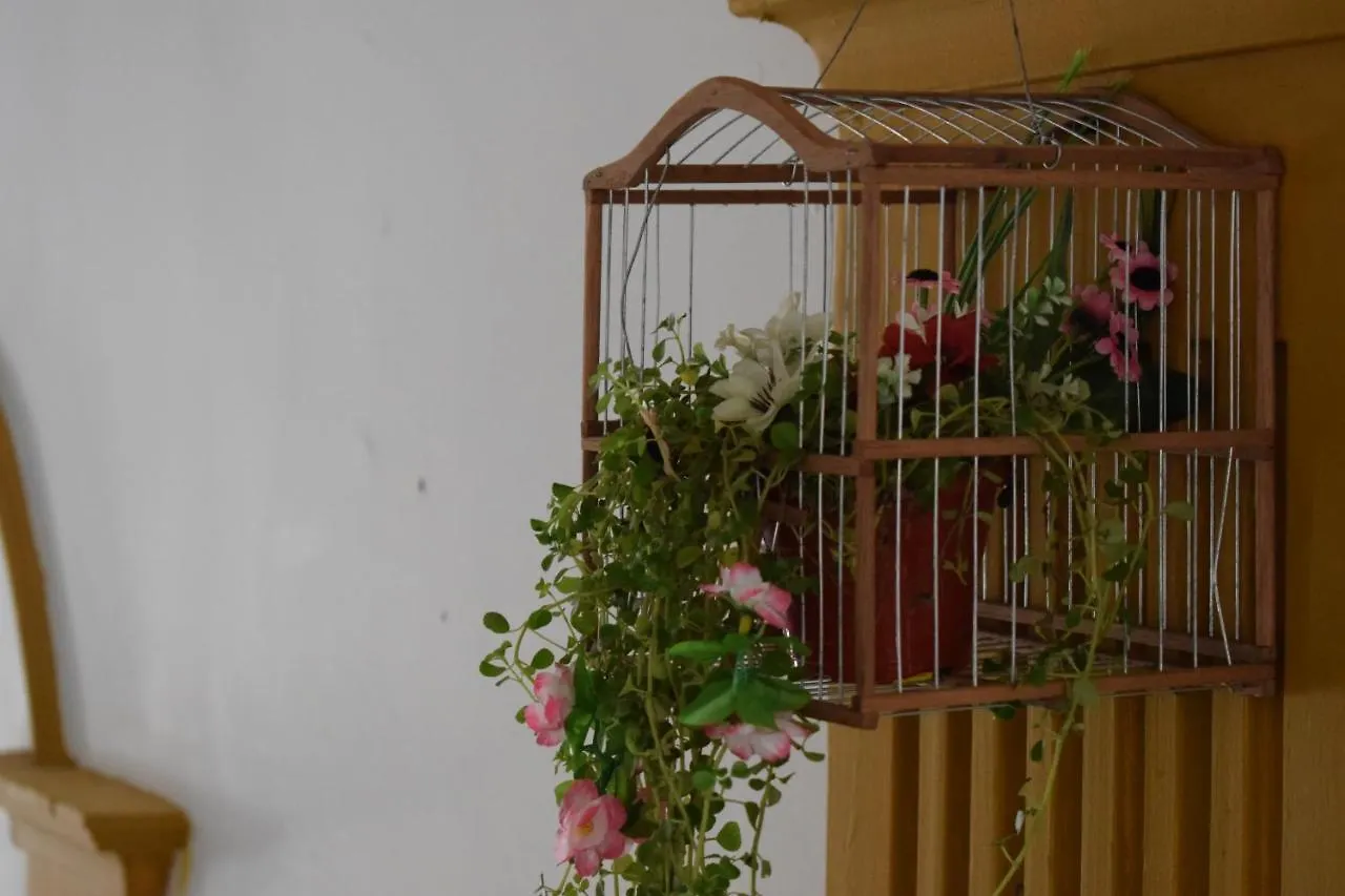 The Three Dog'S House Manga Hostel Cartagena