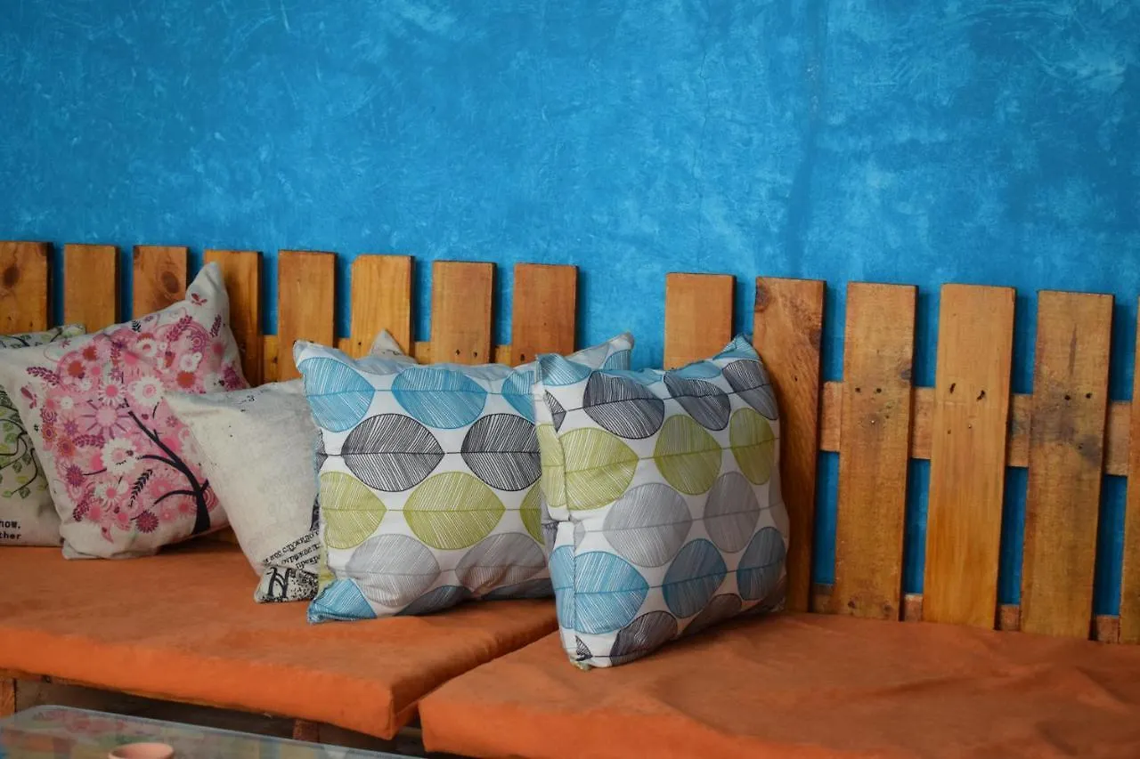 The Three Dog'S House Manga Hostel Cartagena Colombia